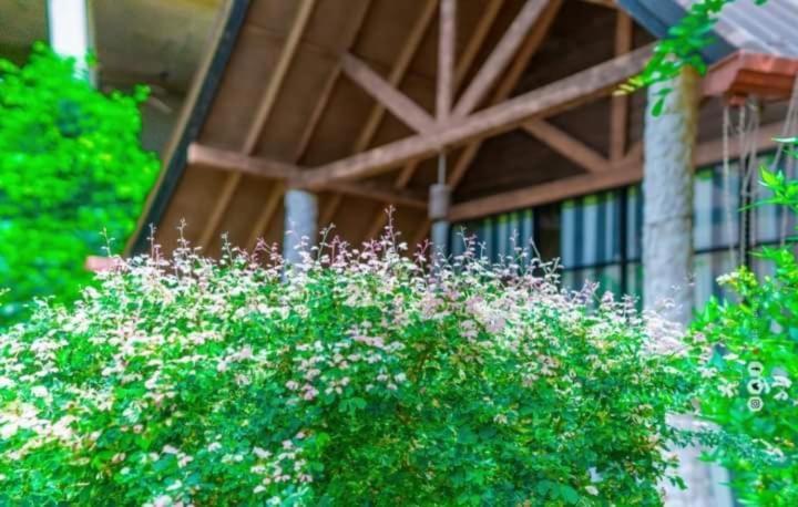 Passi Nature Villas Passikudah Kalkudah  Εξωτερικό φωτογραφία