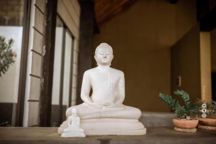Passi Nature Villas Passikudah Kalkudah  Εξωτερικό φωτογραφία