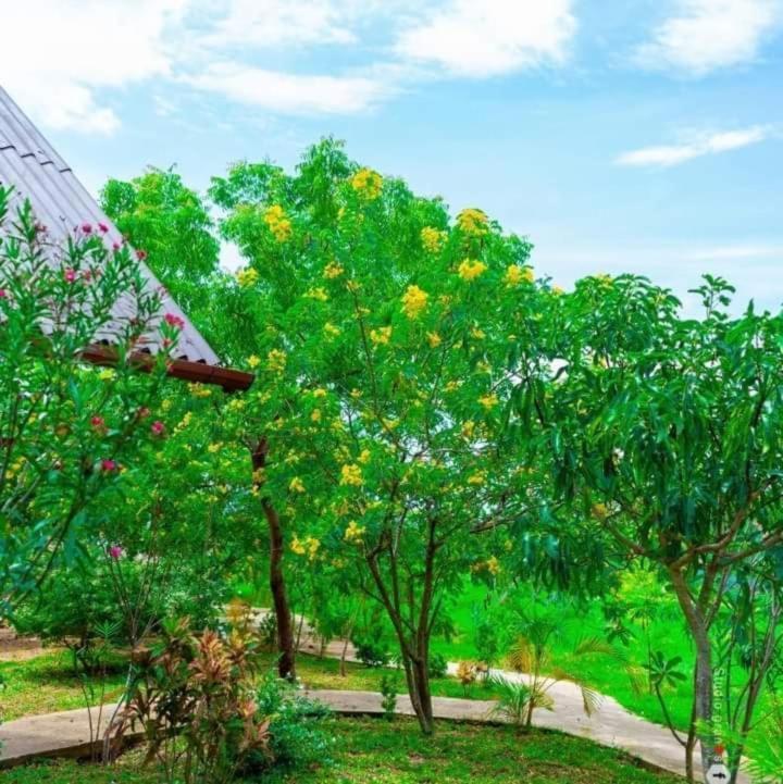 Passi Nature Villas Passikudah Kalkudah  Εξωτερικό φωτογραφία