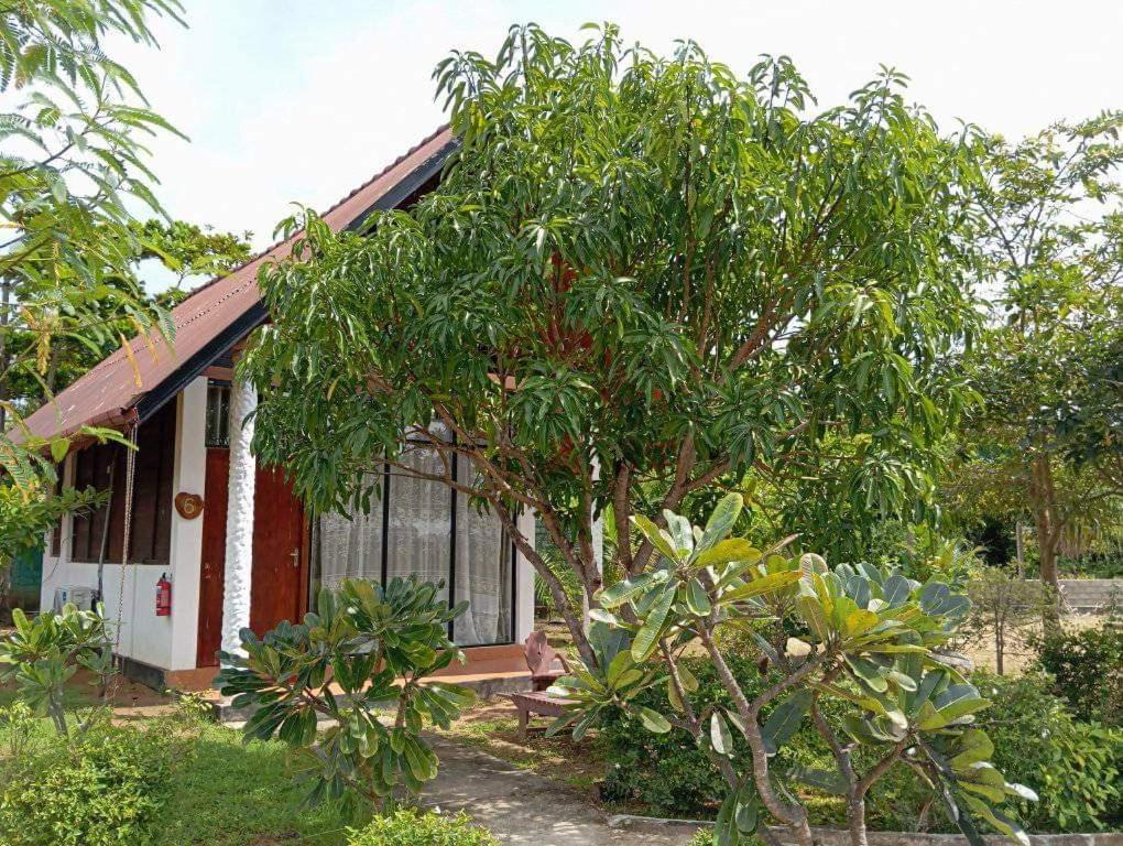 Passi Nature Villas Passikudah Kalkudah  Εξωτερικό φωτογραφία